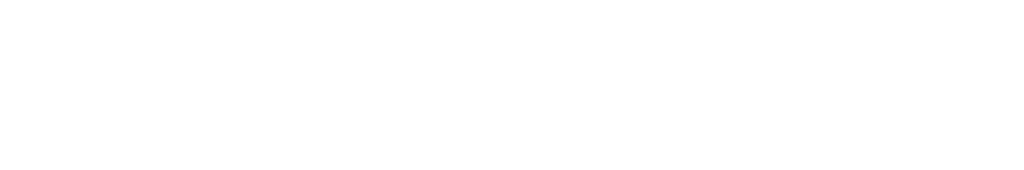 Vizco Logo White